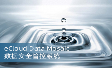 eCloud Data Mosaic 数据安全管控系统软件